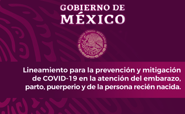 Lineamiento para la prevención y mitigación de Covid-19 en la atención del embarazo, parto, puerperio y de la persona recién nacida.